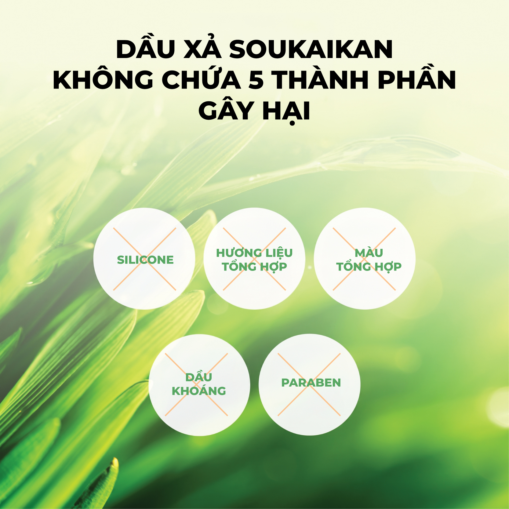 dau-xa-soukaikan-3 dau-xa-soukaikan-3