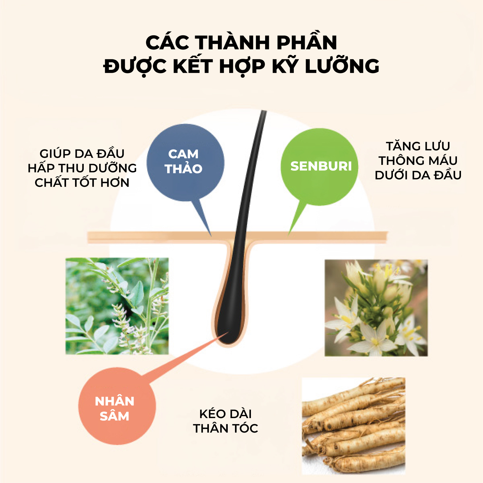 tinh-chat-duong-toc-soukaikan-2 tinh-chat-duong-toc-soukaikan-2
